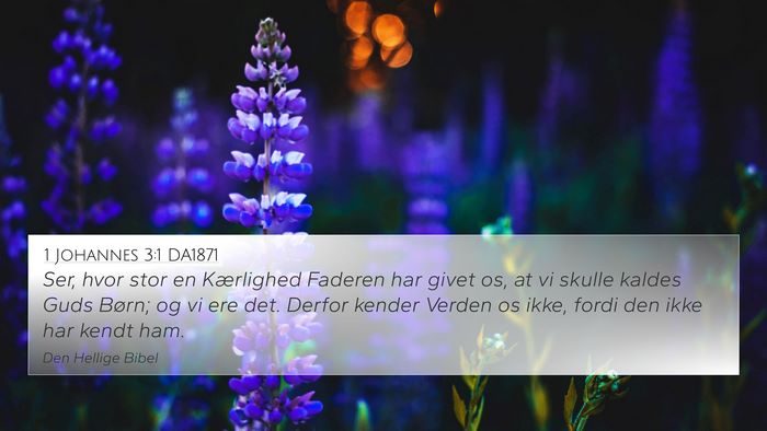 1 Johannes 3:1 DA1871 Bible Verse Image