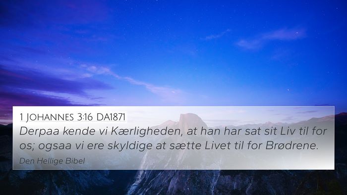 1 Johannes 3:16 DA1871 Bible Verse Image