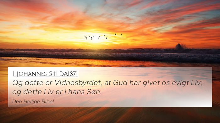 1 Johannes 5:11 DA1871 Bible Verse Image