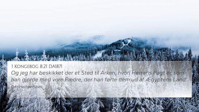 1 Kongebog 8:21 DA1871 Bible Verse Image