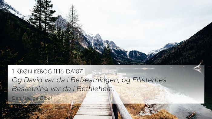 1 Krønikebog 11:16 DA1871 Bible Verse Image