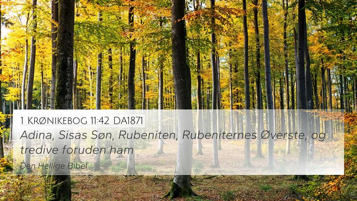 1 Krønikebog 11:42 DA1871 4K Wallpaper - Adina, Sisas Søn, Rubeniten, Rubeniternes - 4K Wallpaper Bible Verse