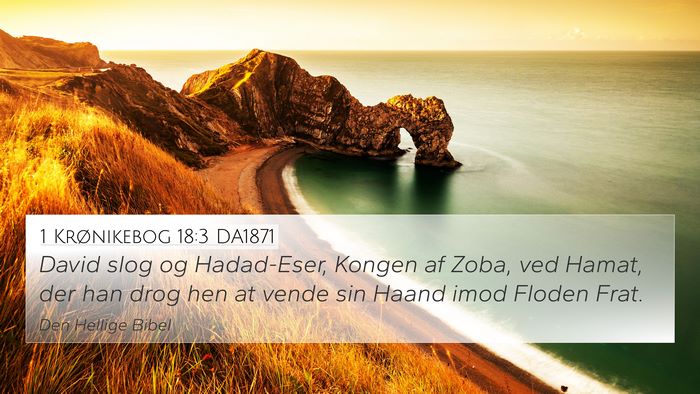 1 Krønikebog 18:3 DA1871 Bible Verse Image