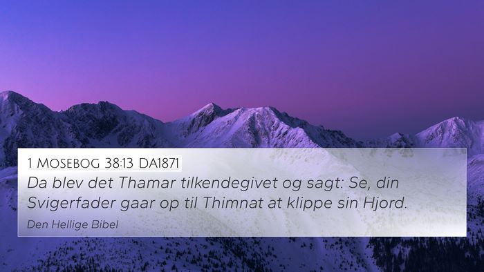 1 Mosebog 38:13 DA1871 Bible Verse Image