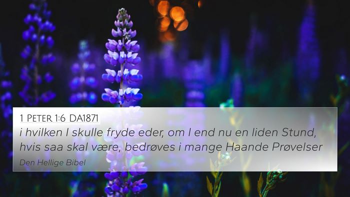 1 Peter 1:6 DA1871 Bible Verse Image