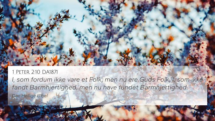 1 Peter 2:10 DA1871 4K Wallpaper - I, som fordum ikke vare et Folk, men nu ere Guds - 4K Wallpaper Bible Verse