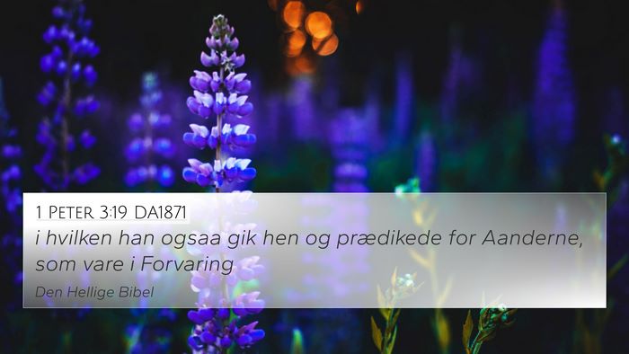1 Peter 3:19 DA1871 Bible Verse Image