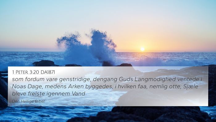 1 Peter 3:20 DA1871 Bible Verse Image