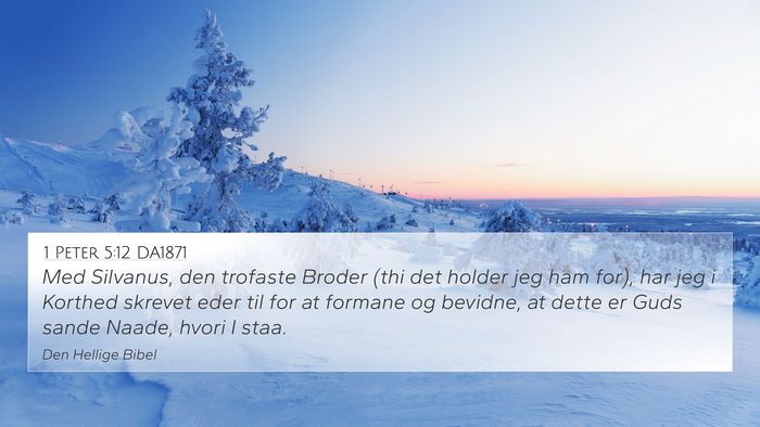 1 Peter 5:12 DA1871 4K Wallpaper - Med Silvanus, den trofaste Broder (thi det holder - 4K Wallpaper Bible Verse