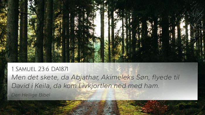1 Samuel 23:6 DA1871 Bible Verse Image
