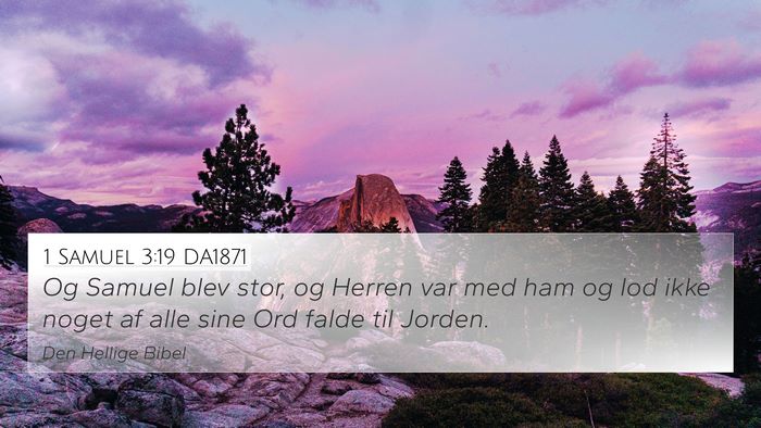 1 Samuel 3:19 DA1871 Bible Verse Image