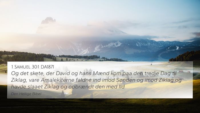 1 Samuel 30:1 DA1871 Bible Verse Image