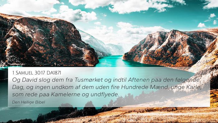 1 Samuel 30:17 DA1871 Bible Verse Image