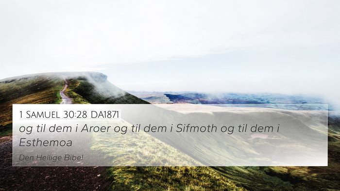 1 Samuel 30:28 DA1871 Bible Verse Image