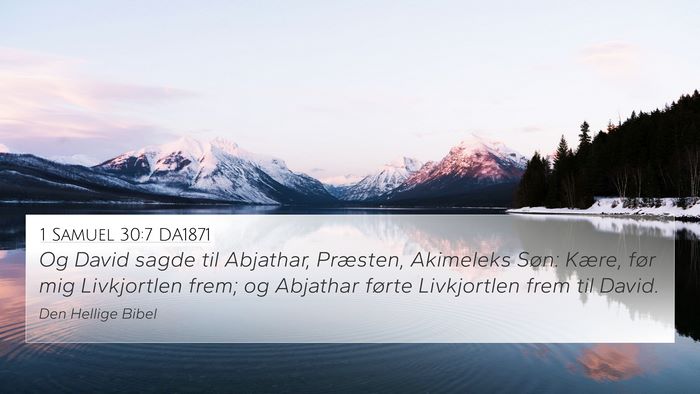1 Samuel 30:7 DA1871 Bible Verse Image