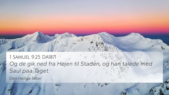 1 Samuel 9:25 DA1871 4K Wallpaper - Og de gik ned fra Højen til Staden, og han - 4K Wallpaper Bible Verse