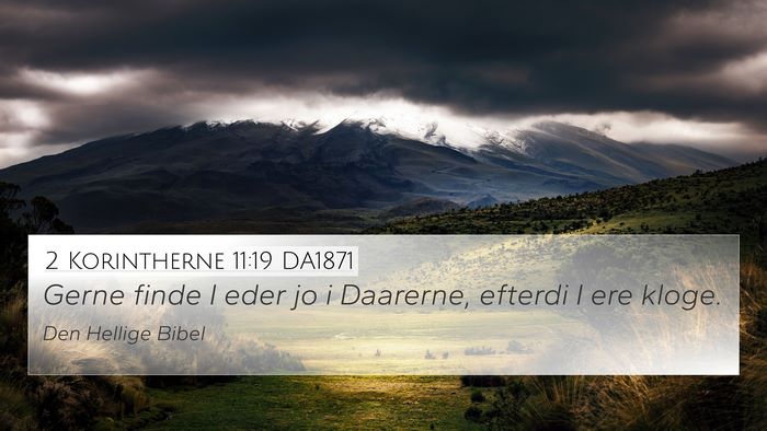 2 Korintherne 11:19 DA1871 Bible Verse Image