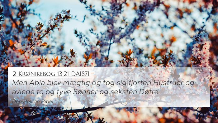 2 Krønikebog 13:21 DA1871 Bible Verse Image