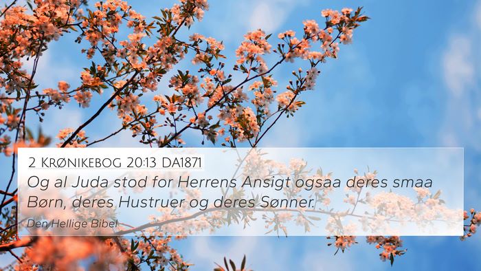 2 Krønikebog 20:13 DA1871 Bible Verse Image