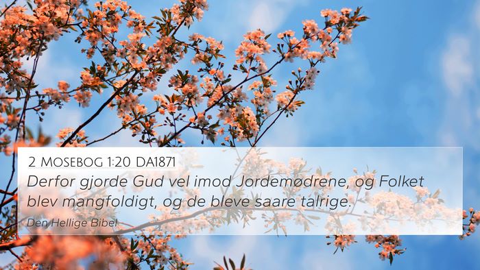 2 Mosebog 1:20 DA1871 Bible Verse Image