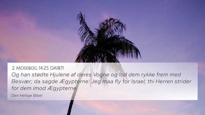 2 Mosebog 14:25 DA1871 Bible Verse Image