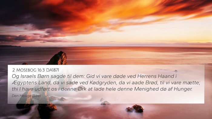 2 Mosebog 16:3 DA1871 Bible Verse Image