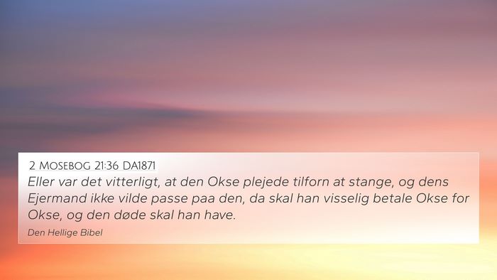 2 Mosebog 21:36 DA1871 4K Wallpaper - Eller var det vitterligt, at den Okse plejede - 4K Wallpaper Bible Verse