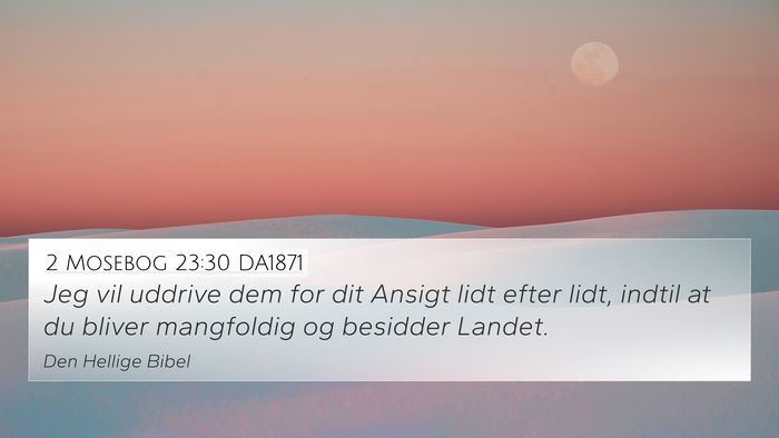2 Mosebog 23:30 DA1871 4K Wallpaper - Jeg vil uddrive dem for dit Ansigt lidt efter - 4K Wallpaper Bible Verse