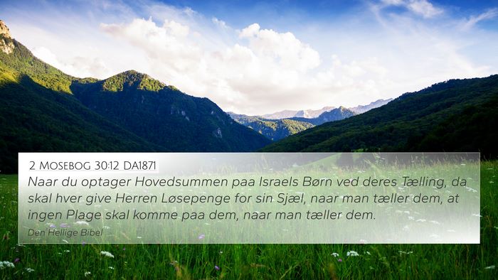 2 Mosebog 30:12 DA1871 Bible Verse Image