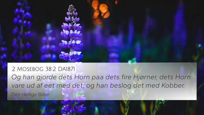 2 Mosebog 38:2 DA1871 Bible Verse Image