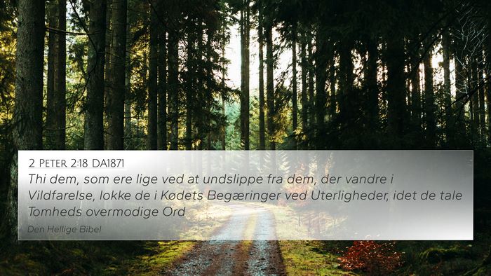 2 Peter 2:18 DA1871 Bible Verse Image