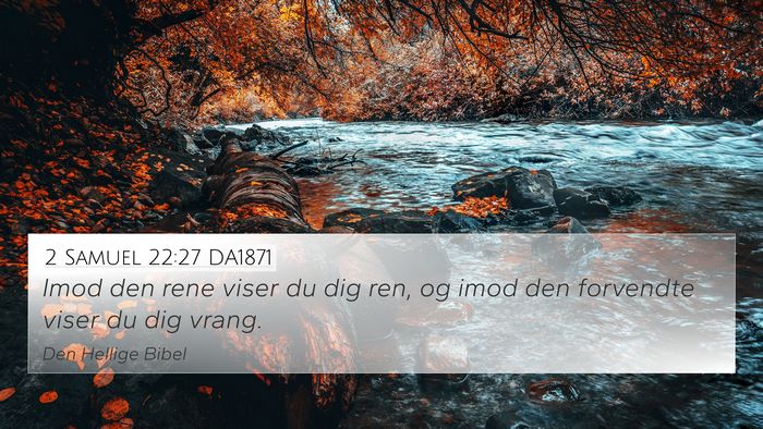 2 Samuel 22:27 DA1871 Bible Verse Image