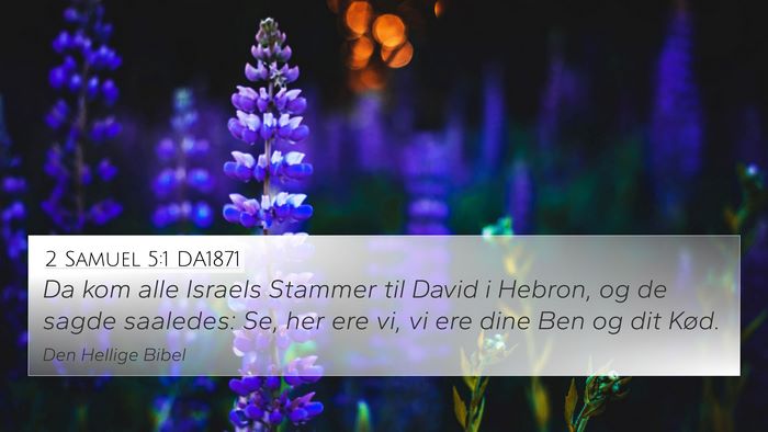 2 Samuel 5:1 DA1871 Bible Verse Image