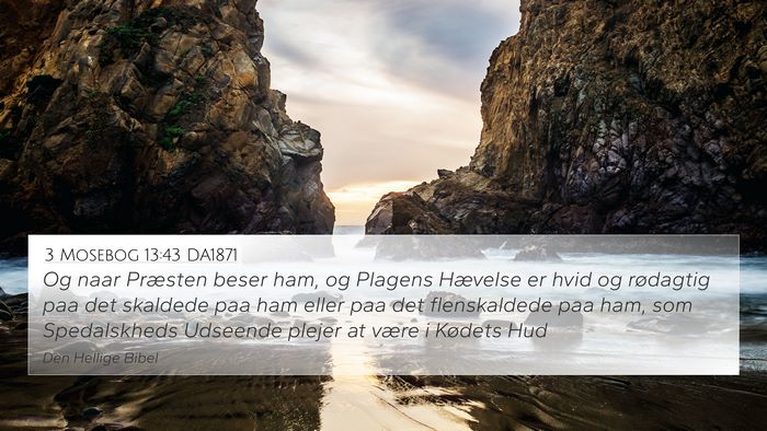 3 Mosebog 13:43 DA1871 Bible Verse Image
