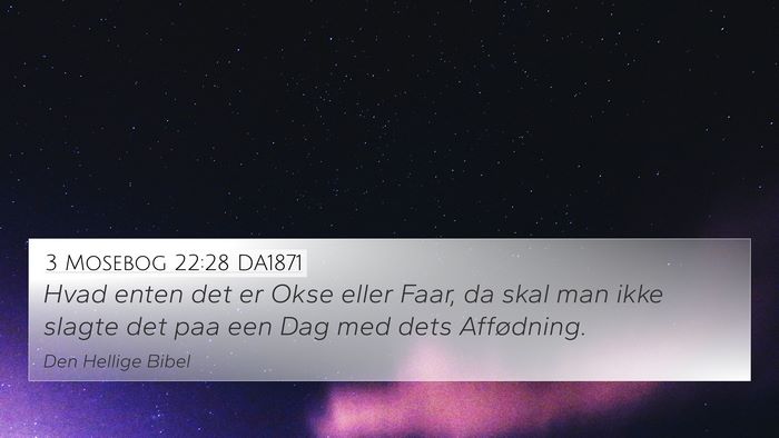3 Mosebog 22:28 DA1871 Bible Verse Image