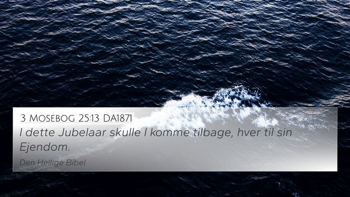 3 Mosebog 25:13 DA1871 4K Wallpaper - I dette Jubelaar skulle I komme tilbage, hver til - 4K Wallpaper Bible Verse