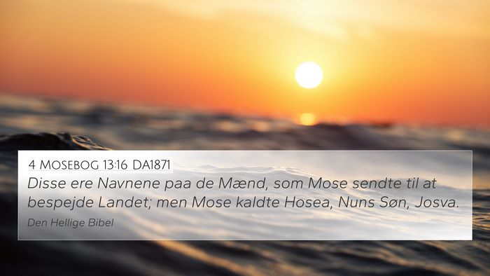 4 Mosebog 13:16 DA1871 Bible Verse Image