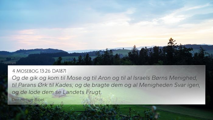 4 Mosebog 13:26 DA1871 Bible Verse Image