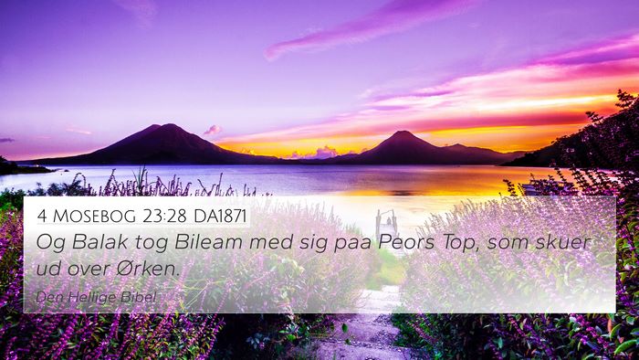 4 Mosebog 23:28 DA1871 Bible Verse Image