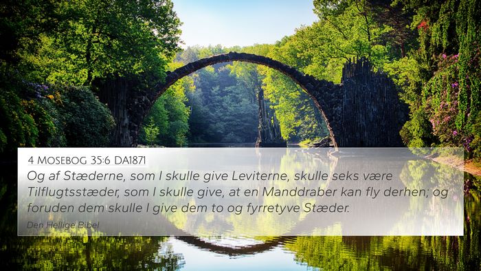 4 Mosebog 35:6 DA1871 Bible Verse Image