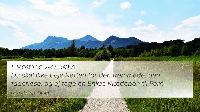 5 Mosebog 24:17 DA1871 Bible Verse Image