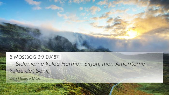 5 Mosebog 3:9 DA1871 4K Wallpaper - — Sidonierne kalde Hermon Sirjon; men - 4K Wallpaper Bible Verse