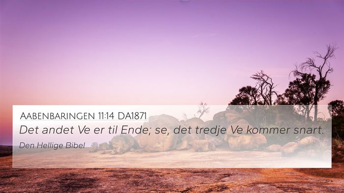 Aabenbaringen 11:14 DA1871 Bible Verse Image
