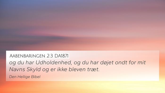 Aabenbaringen 2:3 DA1871 Bible Verse Image