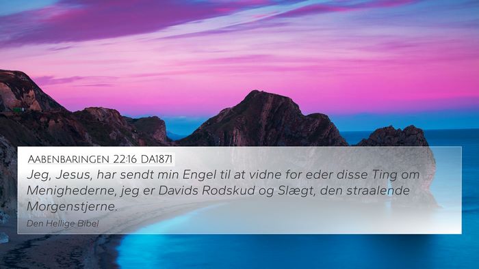 Aabenbaringen 22:16 DA1871 Bible Verse Image