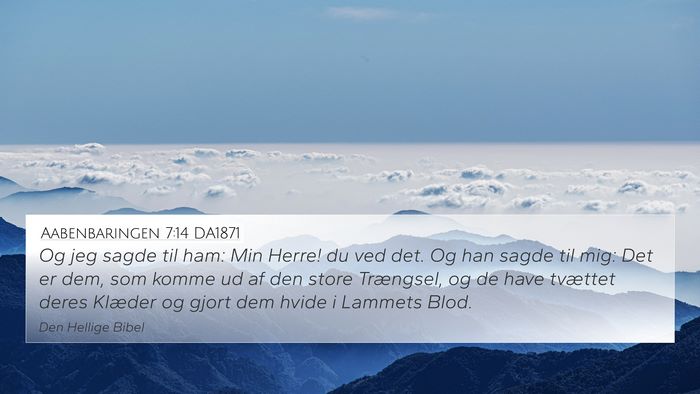 Aabenbaringen 7:14 DA1871 Bible Verse Image