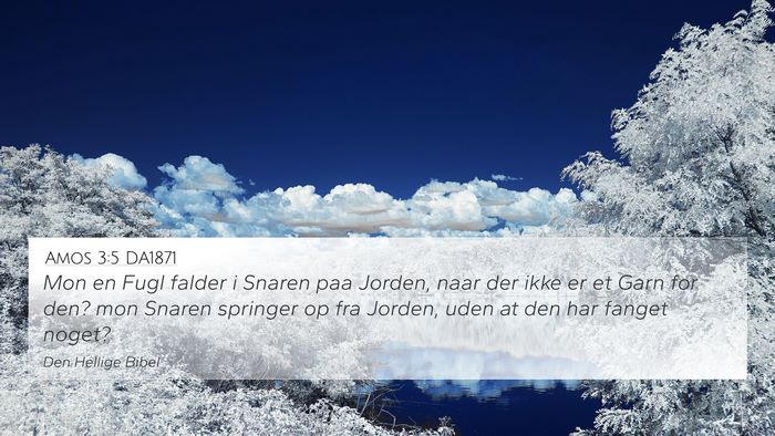 Amos 3:5 DA1871 Bible Verse Image