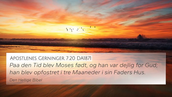 Apostlenes Gerninger 7:20 DA1871 Bible Verse Image