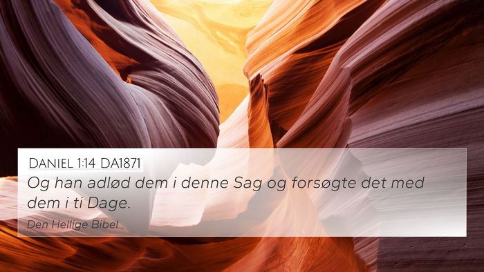 Daniel 1:14 DA1871 4K Wallpaper - Og han adlød dem i denne Sag og forsøgte det - 4K Wallpaper Bible Verse