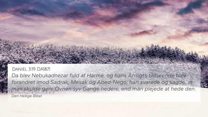 Daniel 3:19 DA1871 Bible Verse Image